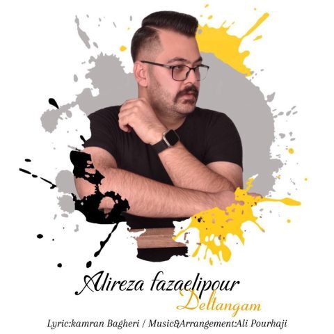 دانلود آهنگ علیرضا فضائلی پور به نام دلتنگم