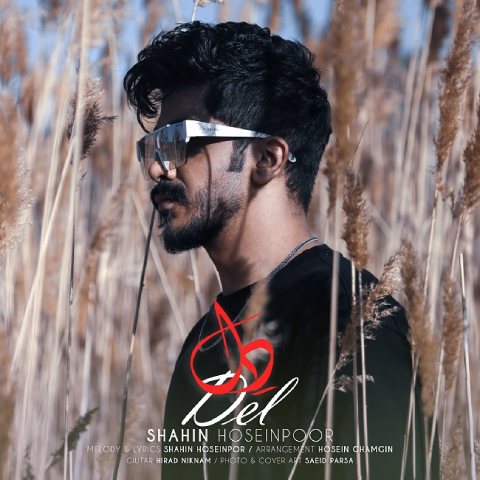 دانلود آهنگ شاهین حسین پور به نام دل